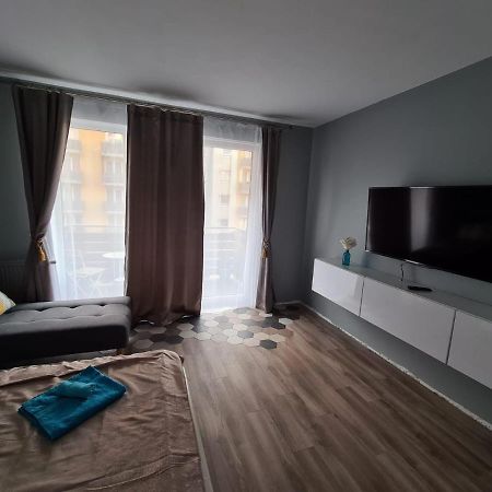 Garsoniera Zebra Daire Braşov Dış mekan fotoğraf