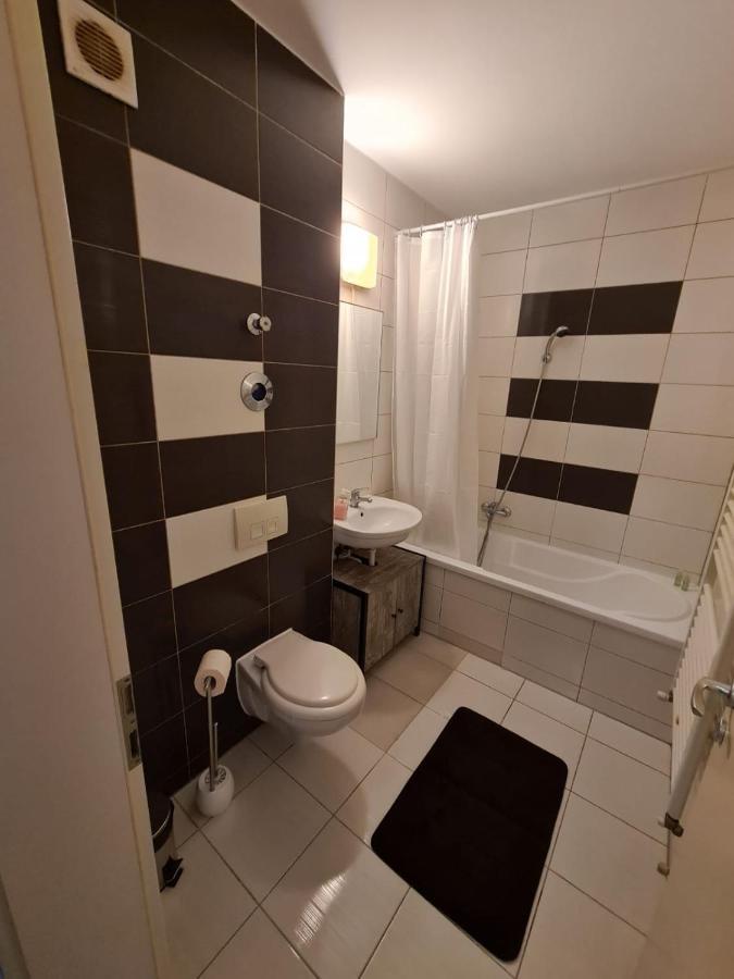 Garsoniera Zebra Daire Braşov Dış mekan fotoğraf